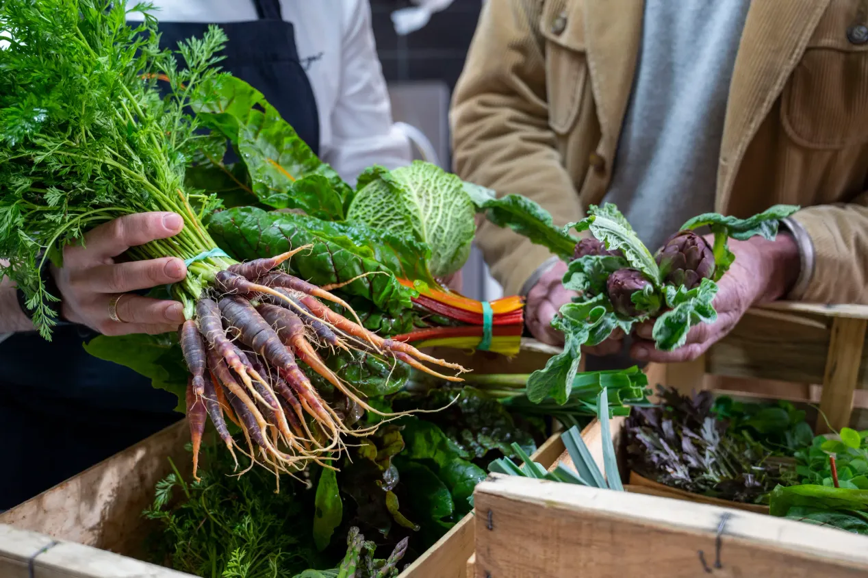 Des mains tiennent des légumes frais, dont des carottes violettes, des artichauts et des herbes, au-dessus de caisses en bois remplies de verdure